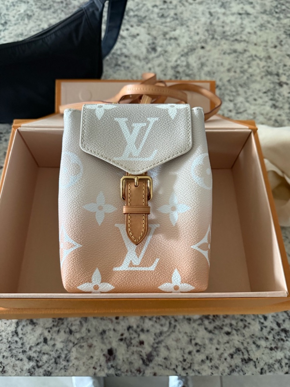 Louis Vuitton Limited Edition By the Pool Mini Backpack